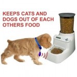 Wireless Whiskers Pet Feeder Review - Does This Selective Feeder Work?