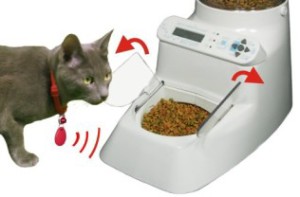 Image of Wireless Whiskers feeder