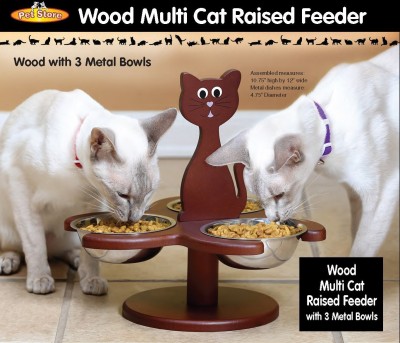 multiple cat feeding station