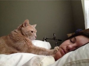 Does Your Cat Wake You Up Too Early? | Why It Happens & What To Do