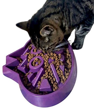 slow feeder cat bowl wet food