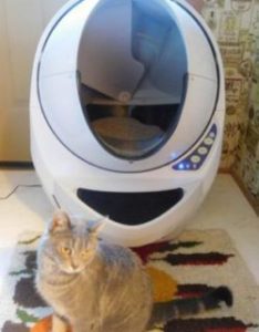 cleaning litter robot open air