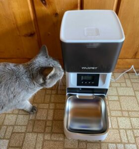 photo of wuipet automatic feeder and a cat
