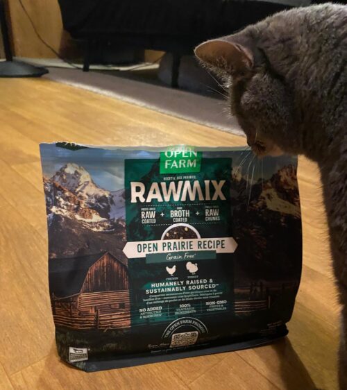 Cat sniffing a bag of Open Farm Rawmix Prairie