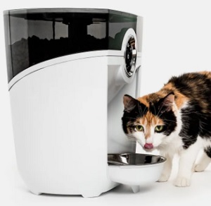 Image of an automatic feeder and a cat