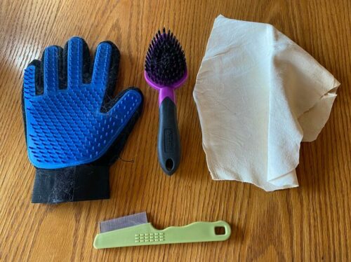 Tools to groom a short hair cat