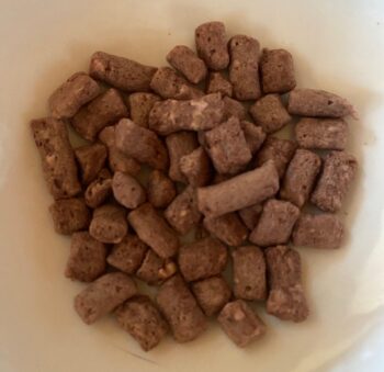 Nature's Advantage Freeze-Dried Raw Red Meat nibs